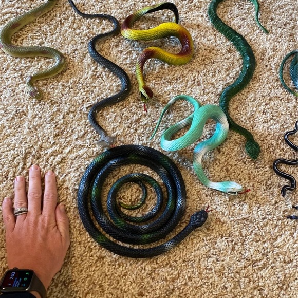 Toy snakes and spiders - Picture 3 of 4